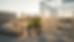 Wide-angle view of a construction crew reviewing site conditions near partially completed framing at sunset